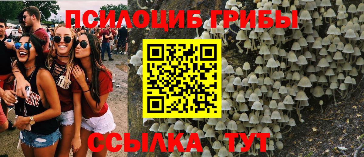 Арзамас  Галлюциногенные грибы прущие грибы  сколько стоит  Вход с VPN 